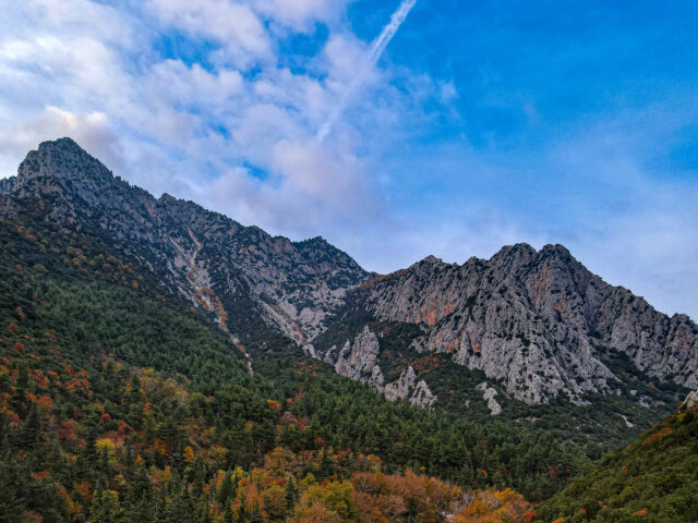 South Koziakas
