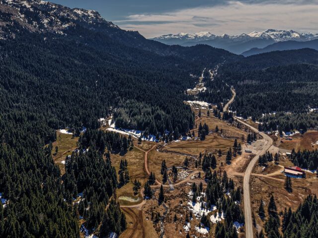 Meadows of Pertouli