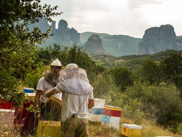 Μέλι Μετεώρων - Οικ. Λέκκα