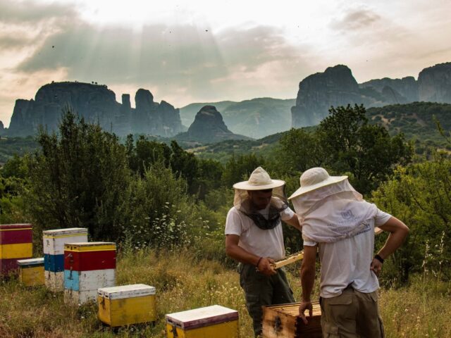 Μέλι Μετεώρων - Οικ. Λέκκα