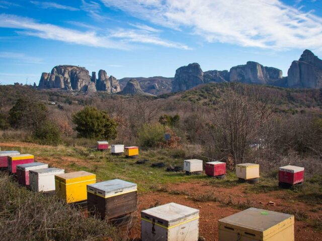 Μελίσσια κάτω από τους επιβλητικούς βράχους των Μετεώρων