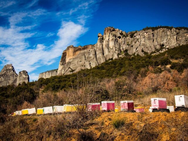 Μελίσσια κάτω από τους επιβλητικούς βράχους των Μετεώρων